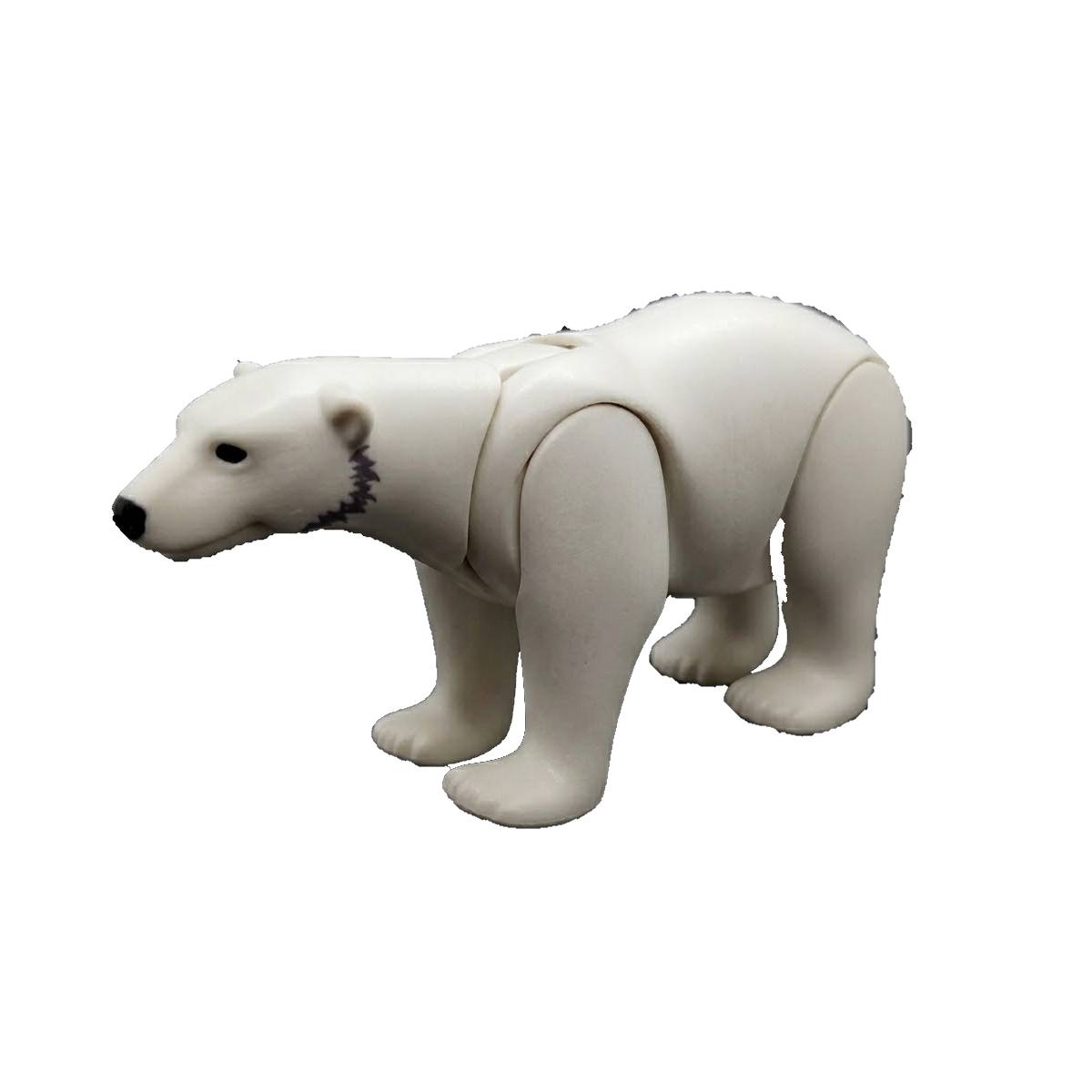 Ours polaire