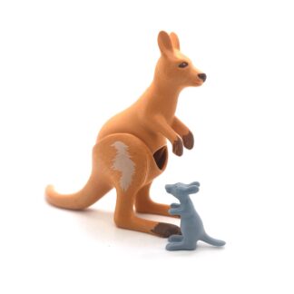 Kangourou et son petit